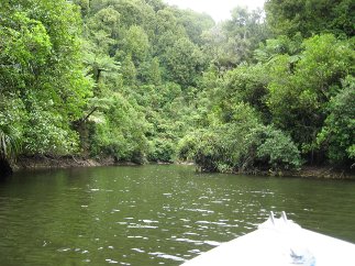 Turitea dam